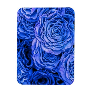Magnet Flexible Rose bleu
