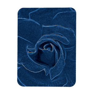 Magnet Flexible rose bleu velouté