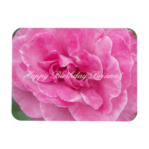 Magnet Flexible Rose de jardin rose