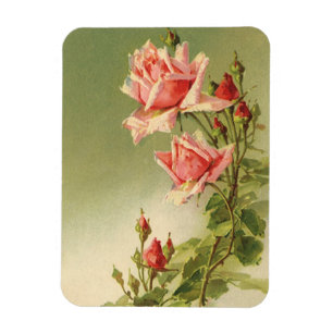 Magnet Flexible Rose de jardin victorienne rose vintage de la Sain