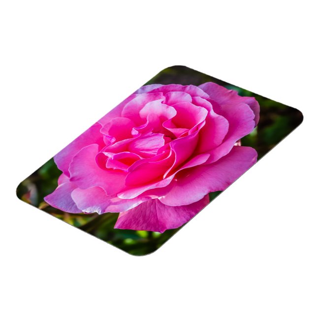 Magnet Flexible Rose délicate. (Côté Gauche)