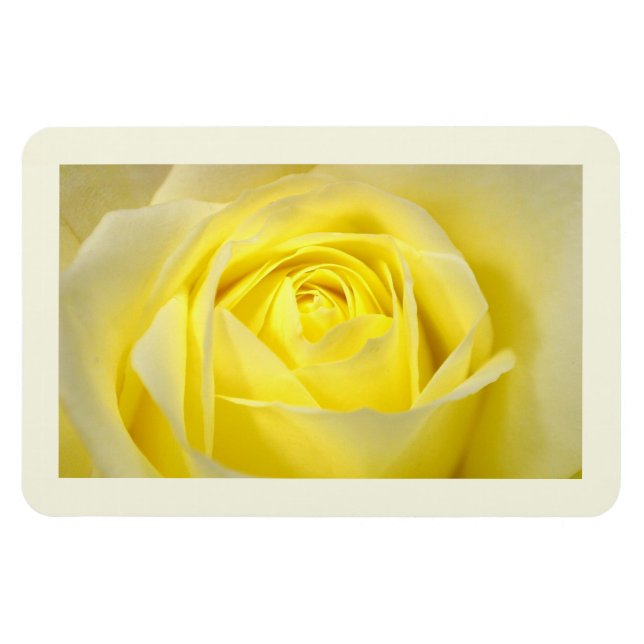 Magnet Flexible Rose jaune en gros plan (Horizontal)