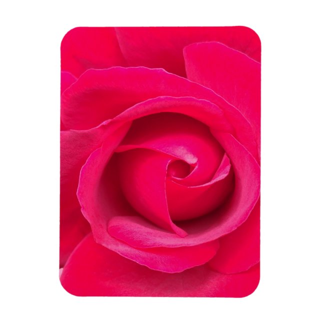 Magnet Flexible Rose romantique rouge et rose (Vertical)