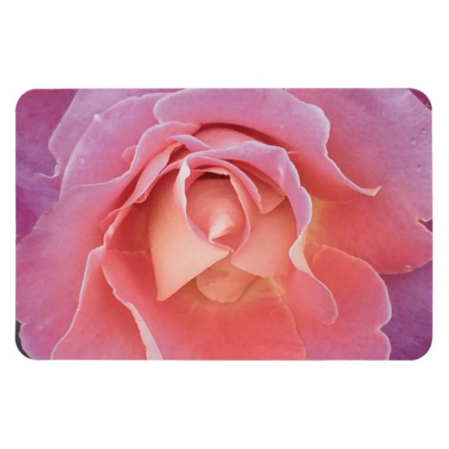 Magnet Flexible Rose rose lustre (Horizontal)