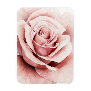 Magnet Flexible Rose rose rose