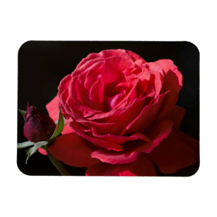 Magnet Flexible Rose rouge