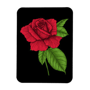 Magnet Flexible Rose rouge 2