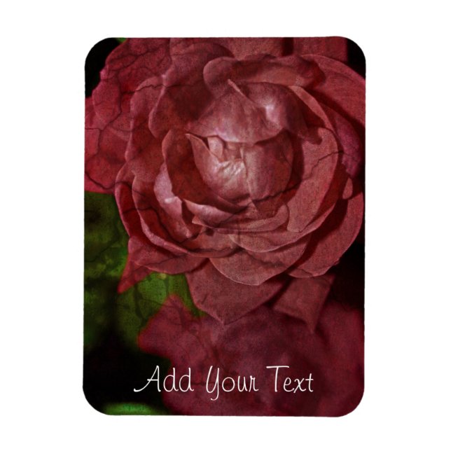 Magnet Flexible Rose rouge fissurée par Shirley Taylor (Vertical)