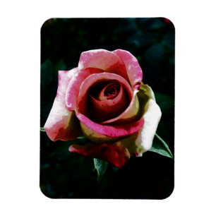 Magnet Flexible Rose rouge peinte à l'huile