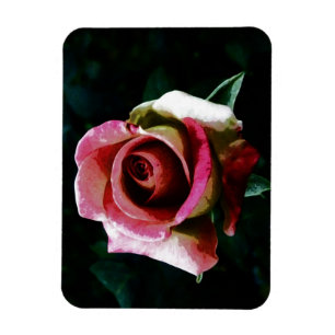 Magnet Flexible Rose rouge peinte à l'huile