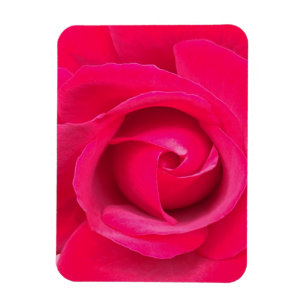 Magnet Flexible Rose rouge romantique