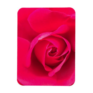 Magnet Flexible Rose rouge romantique v2