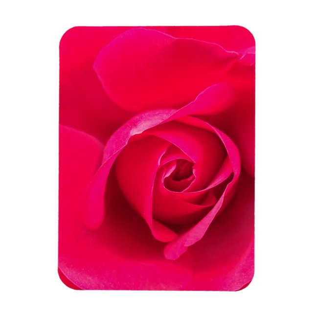 Magnet Flexible Rose rouge romantique v2 (Vertical)