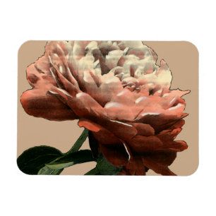 Magnet Flexible Rose rouge rubis aux accents blancs