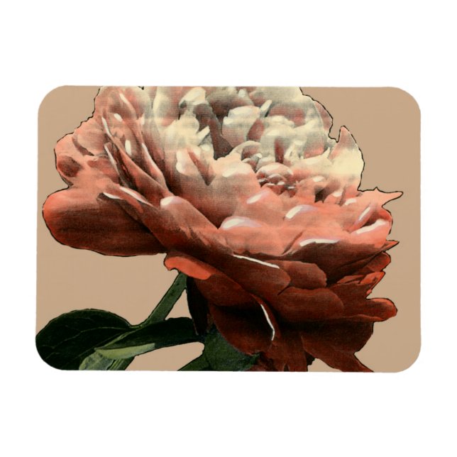 Magnet Flexible Rose rouge rubis aux accents blancs (Horizontal)