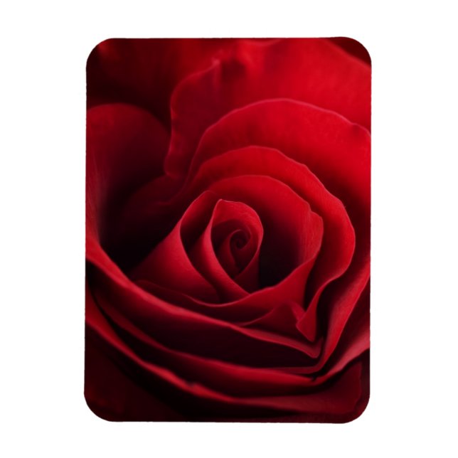 Magnet Flexible Rose rouge Valentine (Vertical)