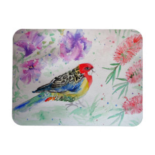 Magnet Flexible Rosella Parrot avec pinceau Bird Bird Anniversaire
