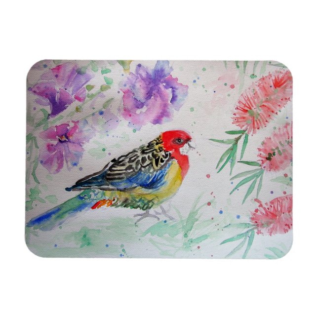 Magnet Flexible Rosella Parrot avec pinceau Bird Bird Anniversaire (Horizontal)