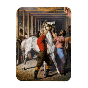 Magnet Flexible Rosenberg's Great East India Horse Invigorator.