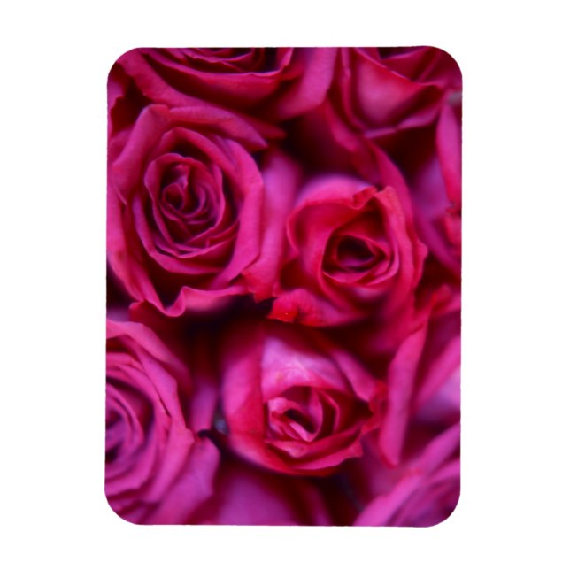 Magnet Flexible Roses (Vertical)