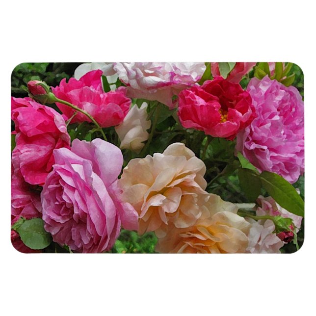 Magnet Flexible Roses à l'ancienne (Horizontal)