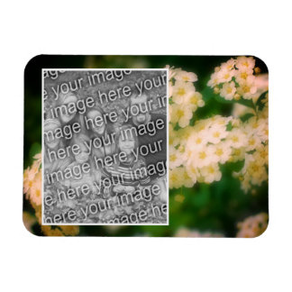Magnet Flexible Roses Blanches Sauvages Roulants Ajouter Votre Pho