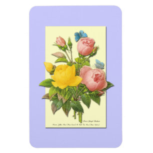 Magnet Flexible Roses Botaniques Rose Jaune