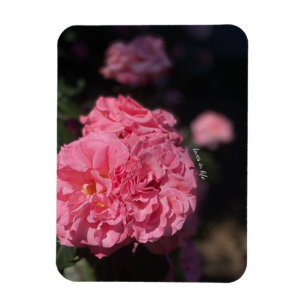 Magnet Flexible Roses roses