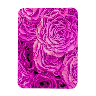 Magnet Flexible Roses roses vives