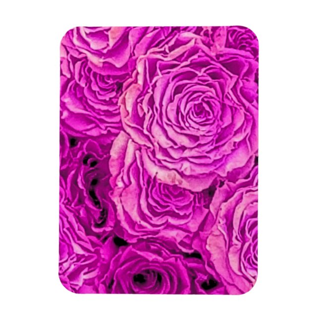 Magnet Flexible Roses roses vives (Vertical)