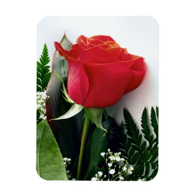 Magnet Flexible Roses rouges (Vertical)