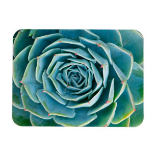 Magnet Flexible Rosette d'Echeveria, Jardin Secret de Marrakech