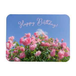 Magnet Flexible Rosier rose sous ciel bleu, coutume