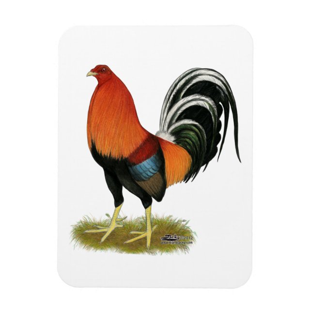 Magnet Flexible Roster de Gamecock Wheaten (Vertical)