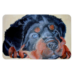 Magnet Flexible Rottweiler Chiot Artistique Portrait pour Animaux