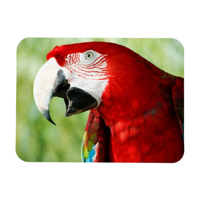 Magnet Flexible Rouge brillant (Horizontal)