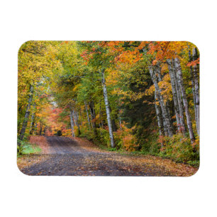 Magnet Flexible Route de gravier jonchée de feuilles avec des coul