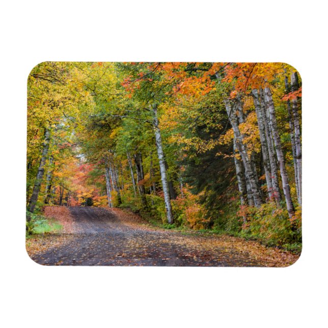 Magnet Flexible Route de gravier jonchée de feuilles avec des coul (Horizontal)
