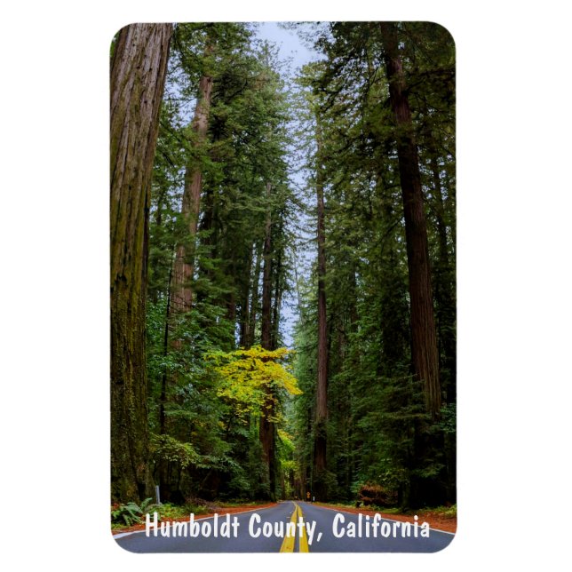 Magnet Flexible Route droite à travers la forêt de séquoias Misty  (Vertical)