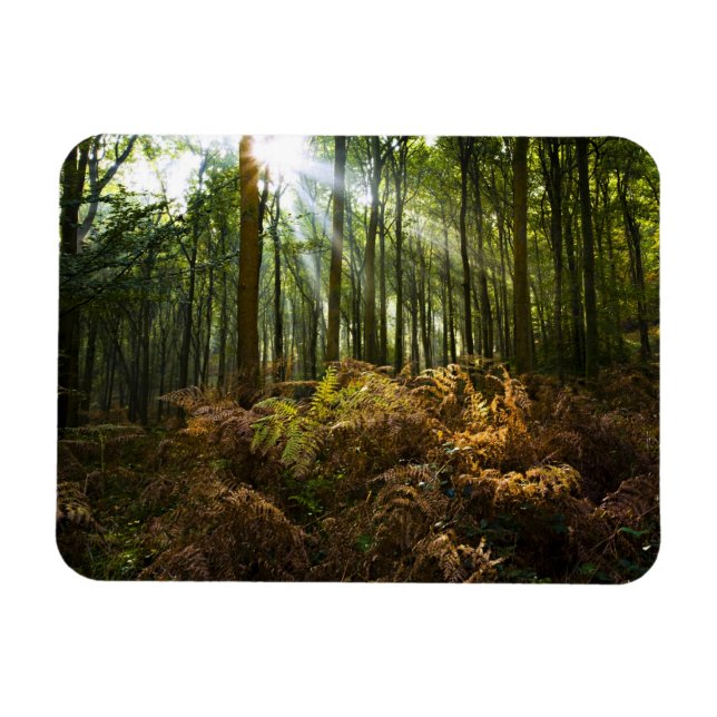 Magnet Flexible Royaume-Uni, Angleterre. Rayons de soleil traversa (Horizontal)