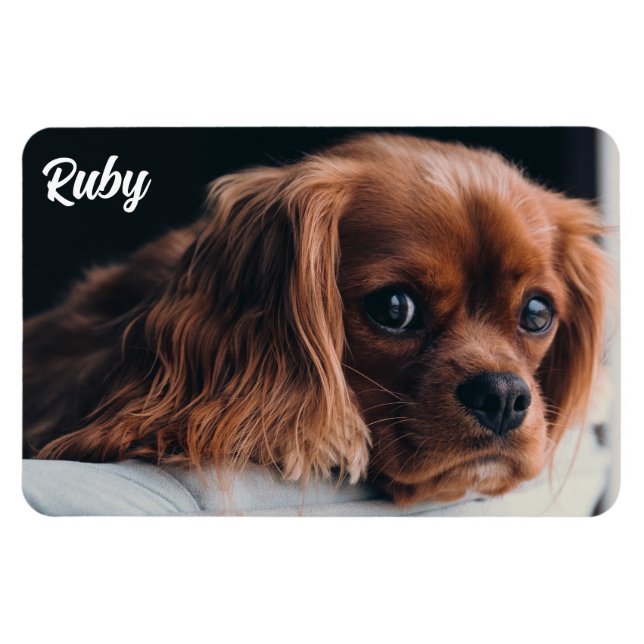 Magnet Flexible Ruby Cavalier King Charles Spaniel (Horizontal)