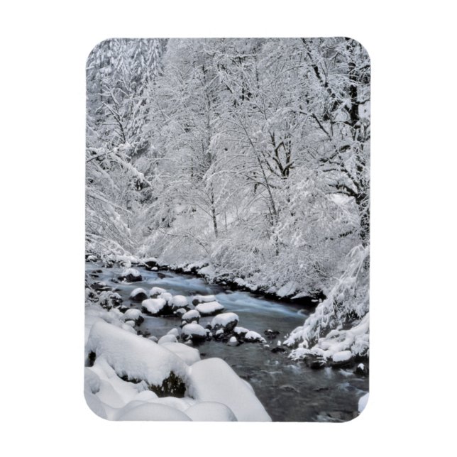 Magnet Flexible Ruisseau blanc enneigé pittoresque, Oregon (Vertical)