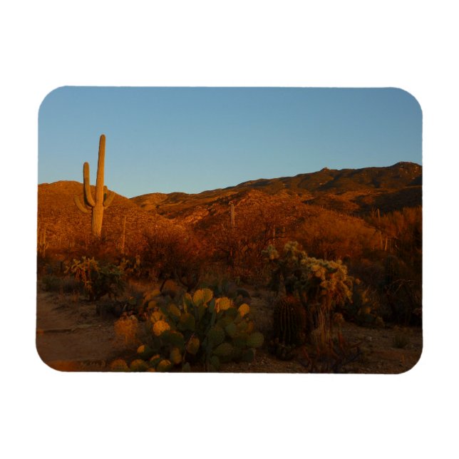Magnet Flexible Saguaro Sunset I Arizona Désert Paysage (Horizontal)