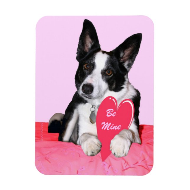 Magnet Flexible Saint-Valentin - "Magpie" (Vertical)