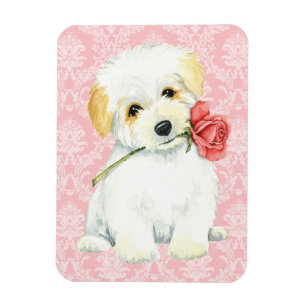 Magnet Flexible Saint-Valentin Rose Coton de Tulear