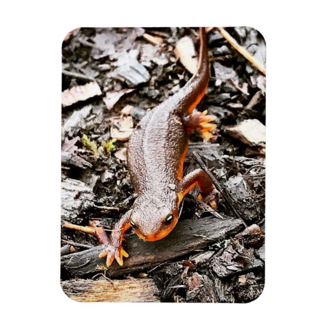 Magnet Flexible Salamandre dans la forêt (Vertical)