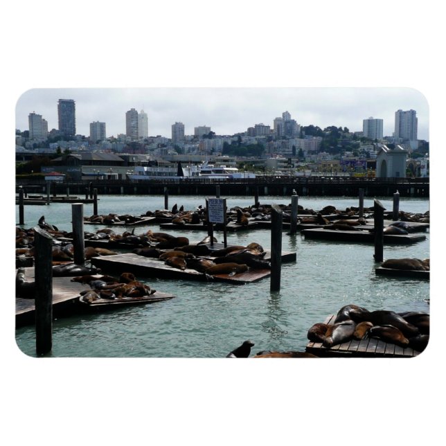 Magnet Flexible San Francisco et Pier 39 Sea Lions City Skyline (Horizontal)