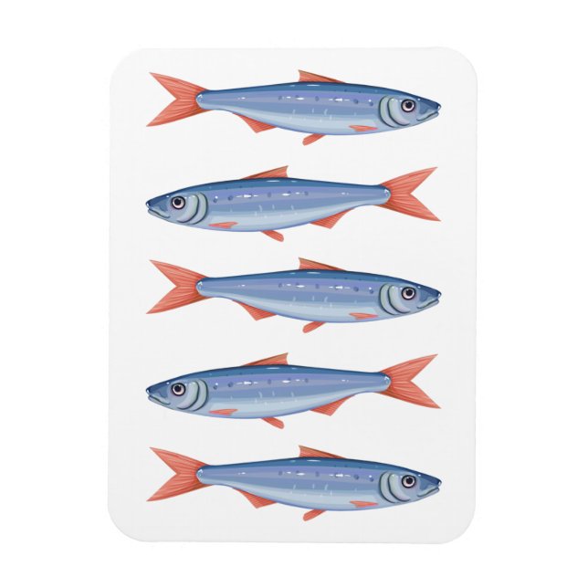 Magnet Flexible Sardines (Vertical)