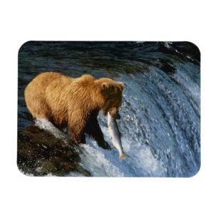 Magnet Flexible Saumon Brown de l'Alaska à Brooks