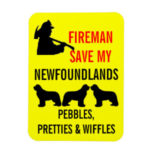 Magnet Flexible Sauvez ma sécurité incendie de TROIS Newfoundlan